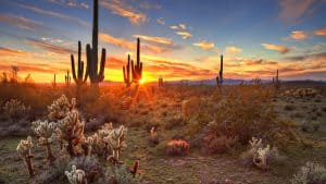 Vejret i Arizona i juni 2025