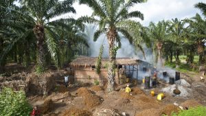 Vejret i marts 2025 i Burundi