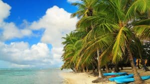 Guadeloupe temperatur, klima og vejr året rundt