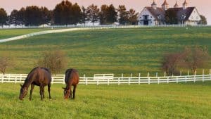 Kentucky temperatur, klima og vejr året rundt