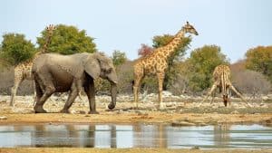 Namibia temperatur, klima og vejr året rundt