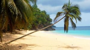 Vejret i São Tomé og Príncipe i januar 2026
