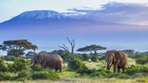 Tanzania temperatur, klima og vejr året rundt