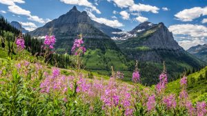 Glacier National Park temperatur, klima og vejr året rundt