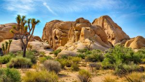 Joshua Tree National Park temperatur, klima og vejr året rundt