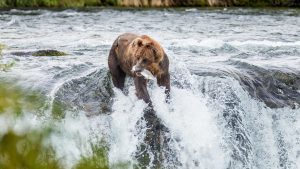 Katmai National Park temperatur, klima og vejr året rundt