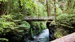 Olympic National Park temperatur, klima og vejr året rundt