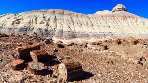 Petrified Forest National Park temperatur, klima og vejr året rundt