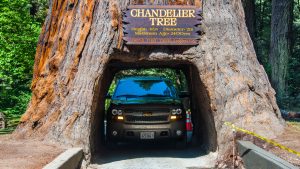 Vejret i Redwood National Park i august 2025