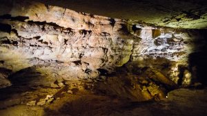 Wind Cave National Park temperatur, klima og vejr året rundt