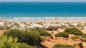 Chiclana de la Frontera temperatur, klima og vejr året rundt