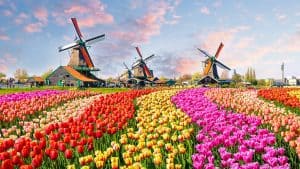 Vejret i Holland i juli 2025