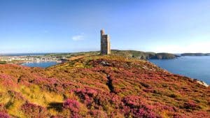 Vejret i Isle of Man i januar 2026