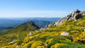 Lozère temperatur, klima og vejr året rundt