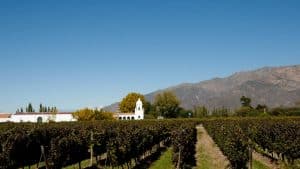 Mendoza temperatur, klima og vejr året rundt