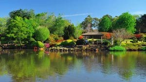 Vejret i Toowoomba i januar 2016