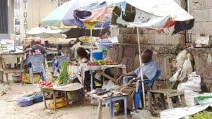 Kinshasa temperatur, klima og vejr året rundt