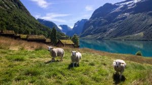 Loen temperatur, klima og vejr året rundt