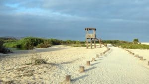 San José del Cabo temperatur, klima og vejr året rundt