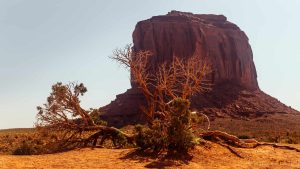 Vejret i Oljato–Monument Valley i juni 2025