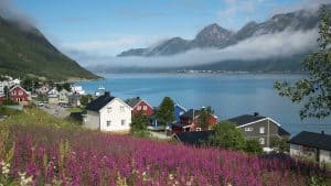Senja temperatur, klima og vejr året rundt