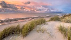Schiermonnikoog temperatur, klima og vejr året rundt