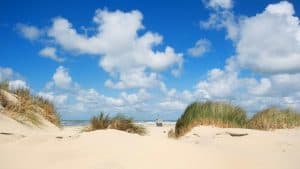 Terschelling temperatur, klima og vejr året rundt