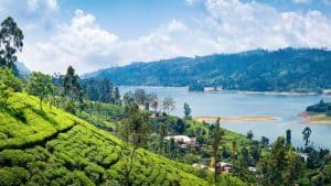 Vejret i Kandy i januar 2020