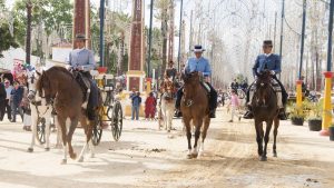 Jerez de la Frontera temperatur, klima og vejr året rundt