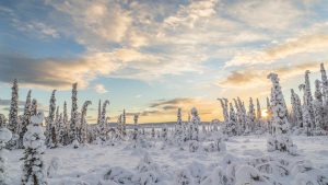 Svenske Lappland temperatur, klima og vejr året rundt