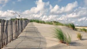 Sint Maartenszee temperatur, klima og vejr året rundt