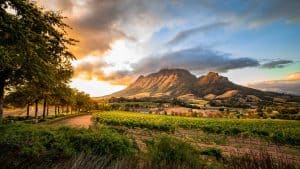 Stellenbosch temperatur, klima og vejr året rundt