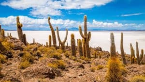 Isla Incahuasi temperatur, klima og vejr året rundt