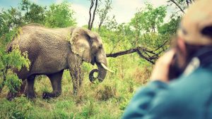 Krugerpark temperatur, klima og vejr året rundt