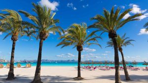 Vejret i Alcudia i maj 2025