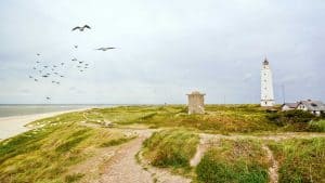 Blåvand temperatur, klima og vejr året rundt