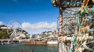 Vejret i Torquay i maj 2025