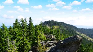 Bayerischer Wald temperatur, klima og vejr året rundt