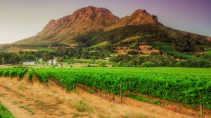 Cape Winelands temperatur, klima og vejr året rundt