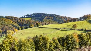 Sauerland temperatur, klima og vejr året rundt