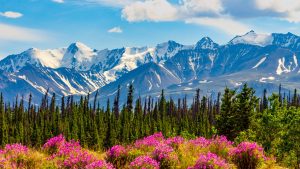 Yukon temperatur, klima og vejr året rundt