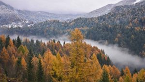 Montana temperatur, klima og vejr året rundt