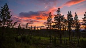 Nesbyen temperatur, klima og vejr året rundt