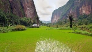 Sumatra temperatur, klima og vejr året rundt