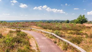 Twente temperatur, klima og vejr året rundt