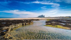 Northumberland temperatur, klima og vejr året rundt