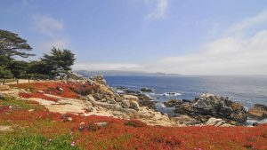 Pebble Beach temperatur, klima og vejr året rundt