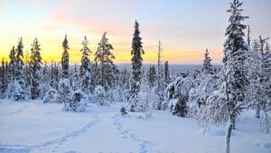 Kittilä temperatur, klima og vejr året rundt