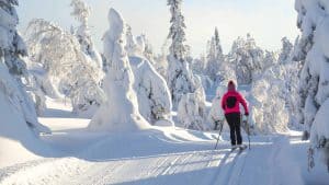 Kuusamo temperatur, klima og vejr året rundt
