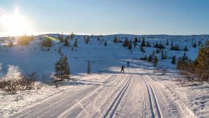 Vejret i Branäs i juni 2017